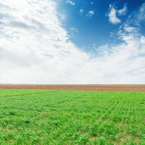 Campo de agricultura verde e céu azul com nuvens sobre ele — Fotografia de Stock