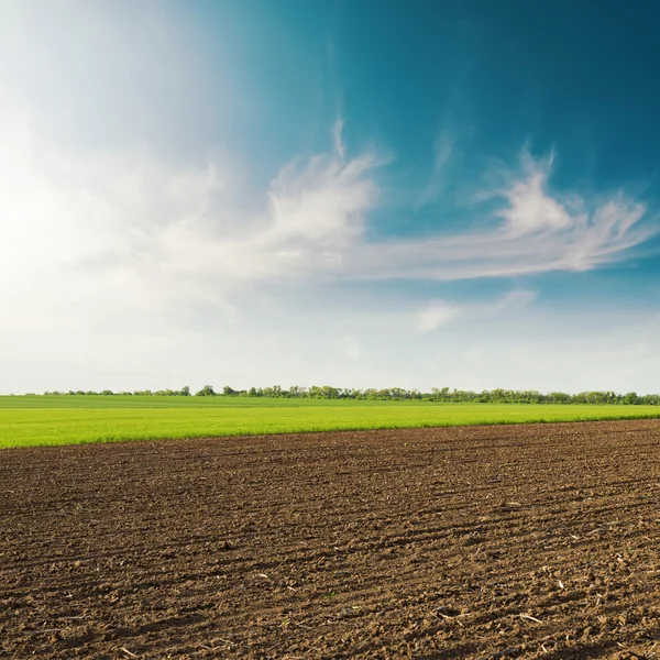 Preto campo arado na primavera as nuvens em céu azul no pôr do sol — Fotografia de Stock