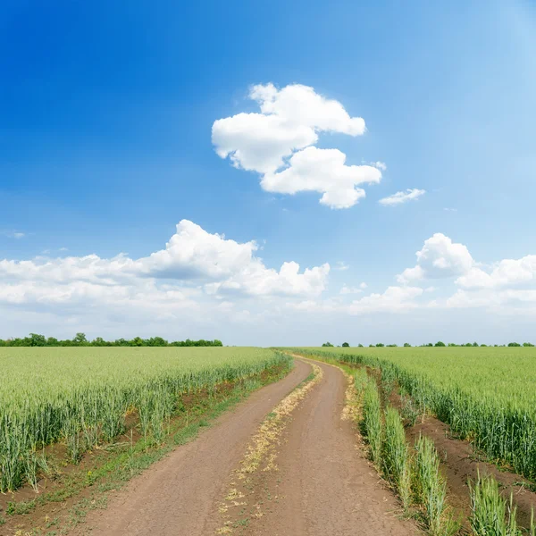 Vägen i det gröna fältet under blå himmel med moln — Stockfoto