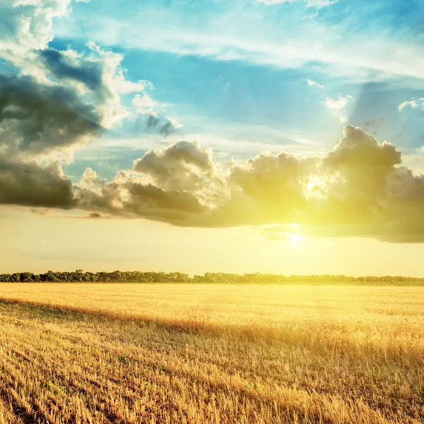 Veld en zonsondergang oogsten in de wolken over het — Stockfoto