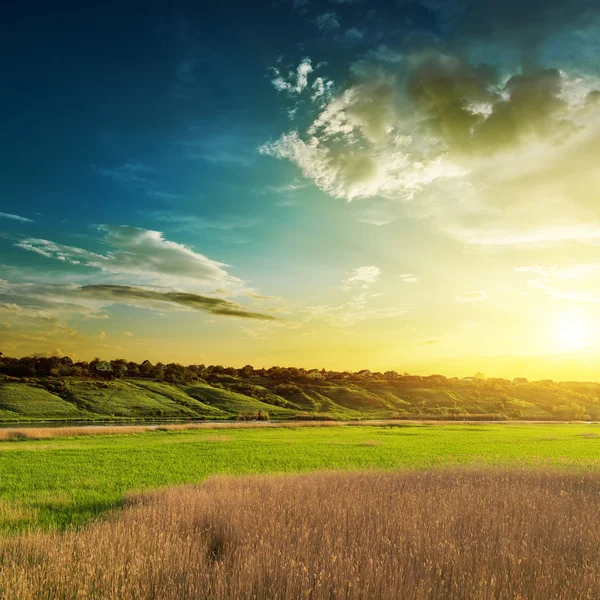 Puesta de sol sobre el lado del río verde con cañas — Foto de Stock