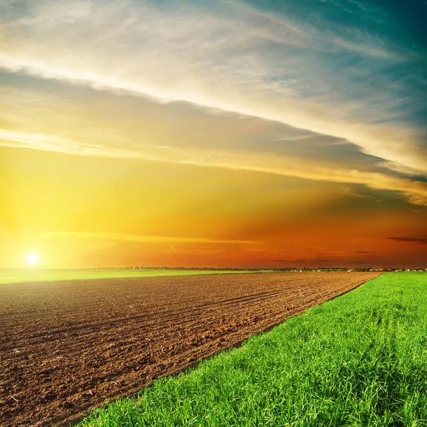 Buena puesta de sol naranja sobre negros y verdes de los campos — Foto de Stock