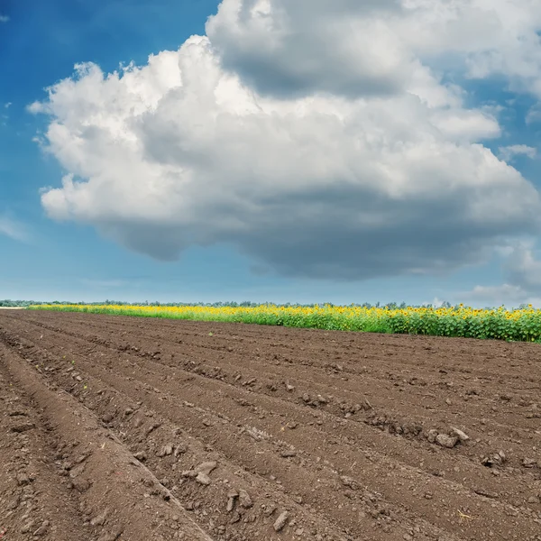 Nuvole basse scuri e nero campo agricolo — Foto Stock