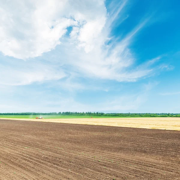 Aerial view to black and golden agricultural fields under blue s — Stock Photo, Image