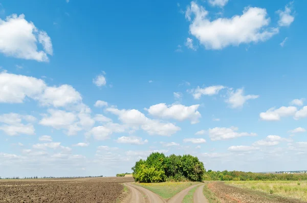 Duas estradas rurais em campo e céu azul com nuvens — Fotografia de Stock