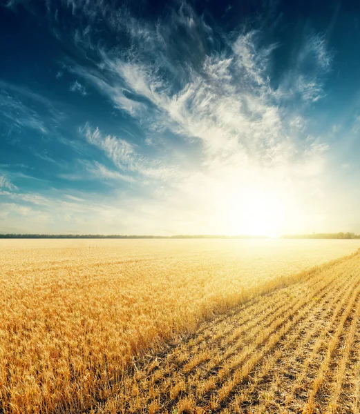 Tramonto drammatico sopra campo di raccolta — Foto Stock