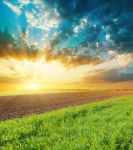 Oranje zonsondergang over landbouw velden — Stockfoto