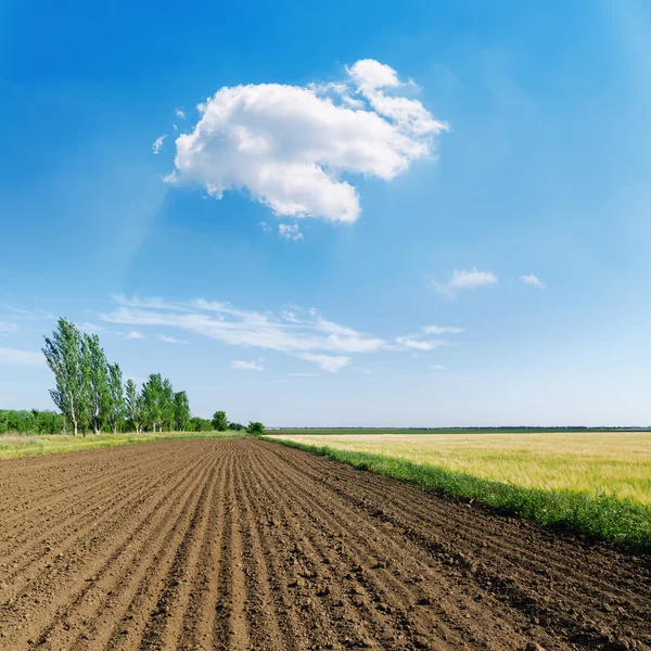 Geploegd veld in het voorjaar en witte wolk in blauwe hemel — Stockfoto