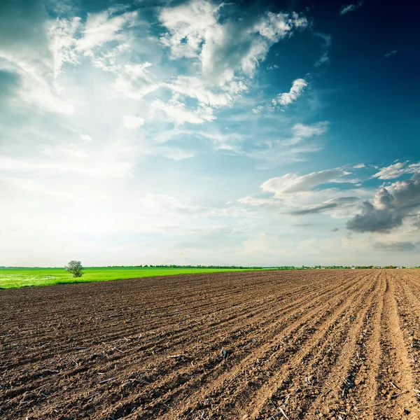 Zwart Landbouwveld Zonsondergang Wolken — Stockfoto