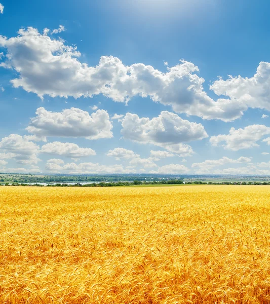 Mavi gökyüzünde bulutlar bulutlar üzerinde altın hasat ile — Stok fotoğraf