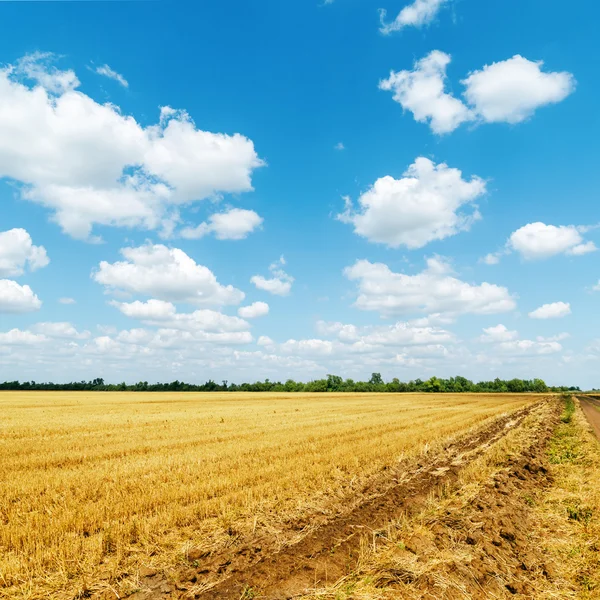 Campo de oro después de la cosecha y las nubes blancas en el cielo azul — Foto de Stock