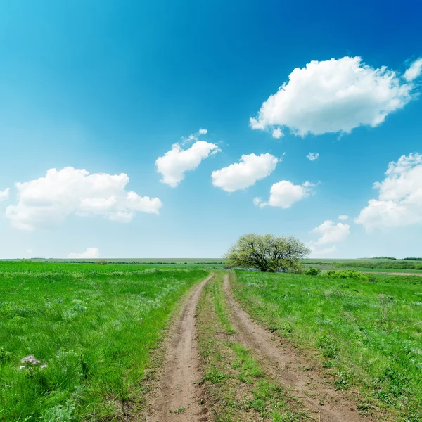 Schmutzige Straße in grünen Feldern und blauem Himmel mit Wolken — Stockfoto