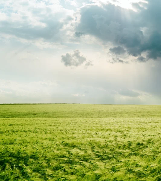 Céu dramático sobre campo verde — Fotografia de Stock