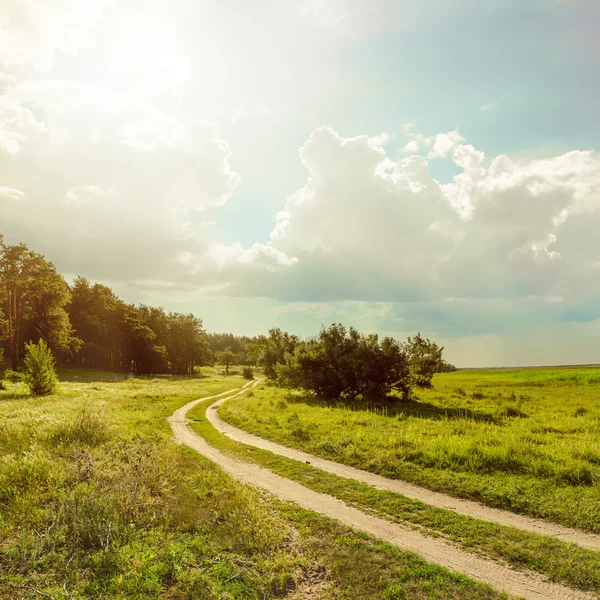 Weg in de buurt van bos onder zon met lage wolken — Stockfoto