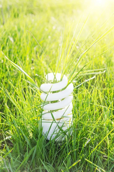 Eco bulb on green grass and sun — Stock Photo, Image