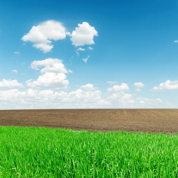 Agricultura campos verdes e negros e nuvens baixas no horizonte — Fotografia de Stock