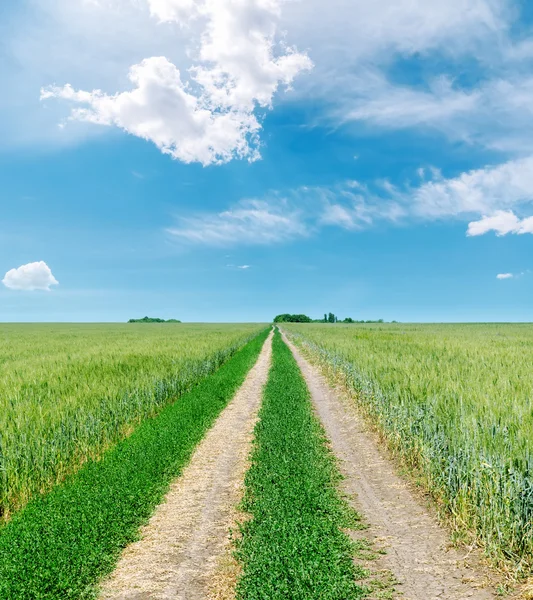 Estrada rural para o horizonte em campos verdes e céu azul com nuvens — Fotografia de Stock