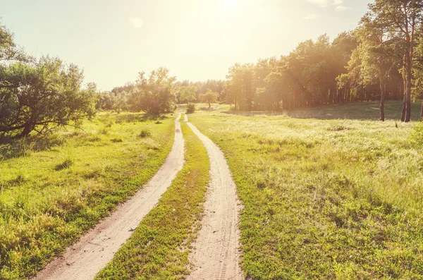 Vuile weg in hout in zonsondergang — Stockfoto