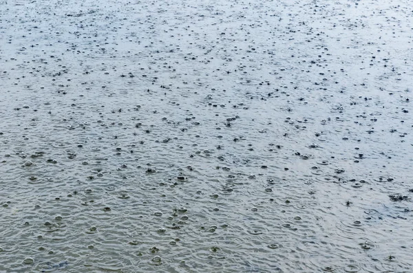 水の上の雨の滴 — ストック写真