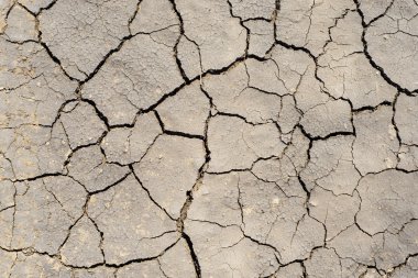 kuraklık earth dokulu arka plan olarak