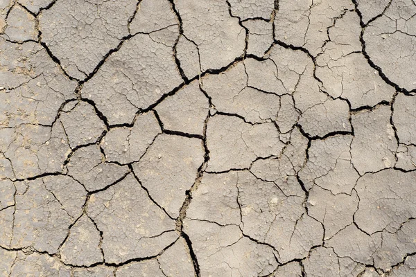 Dürre Erde als strukturierten Hintergrund — Stockfoto