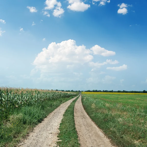 Mavi gökyüzünde bulutlar altında yeşil alanlardaki kırsal yol — Stok fotoğraf