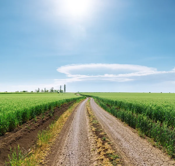 Solen i blå himmel över lantlig väg i gröna fält — Stockfoto