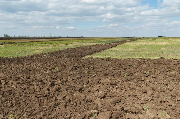 Zwarte landbouw veld na het ploegen — Stockfoto