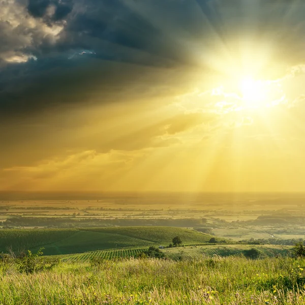 Zonsondergang in dramatische hemel over heuvels met wijngaard — Stockfoto