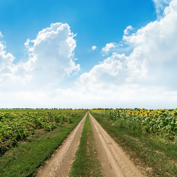 Camino rural en campos verdes debajo de las nubes en cielo azul — Foto de Stock