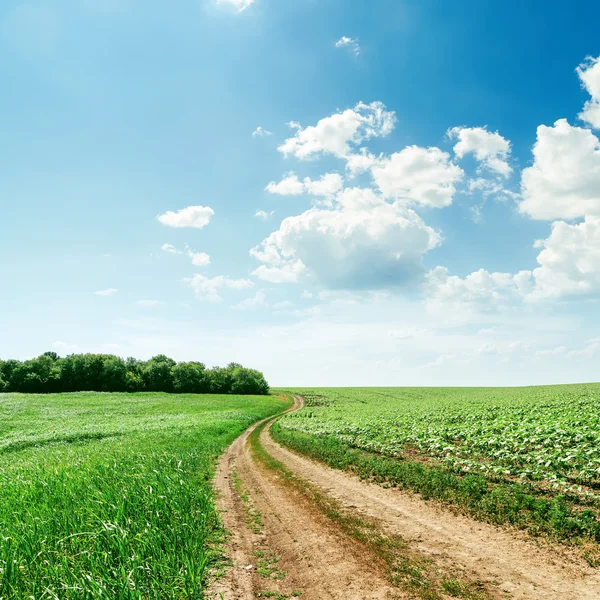 Estrada rural em campos verde primavera e luz nuvens por cima — Fotografia de Stock