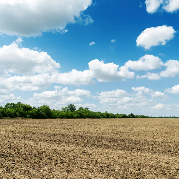 Campo di agricoltura dopo la raccolta sotto il cielo nuvoloso blu — Foto Stock