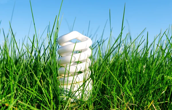 Eco vriendelijke lamp in groene gras — Stockfoto
