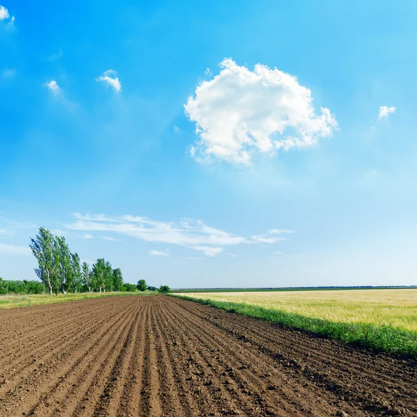 Vita moln i blå himmel över svart jordbruk fält — Stockfoto