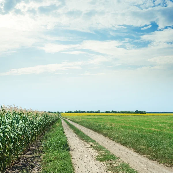 Dirty rural road in agriculture fields and clouds in sky — Stock Photo, Image