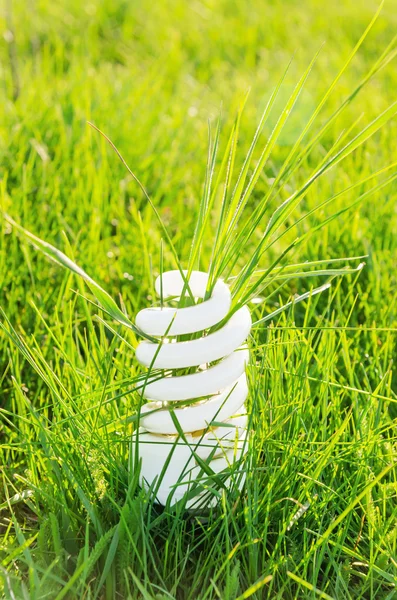 Eco lamp in groene gras — Stockfoto