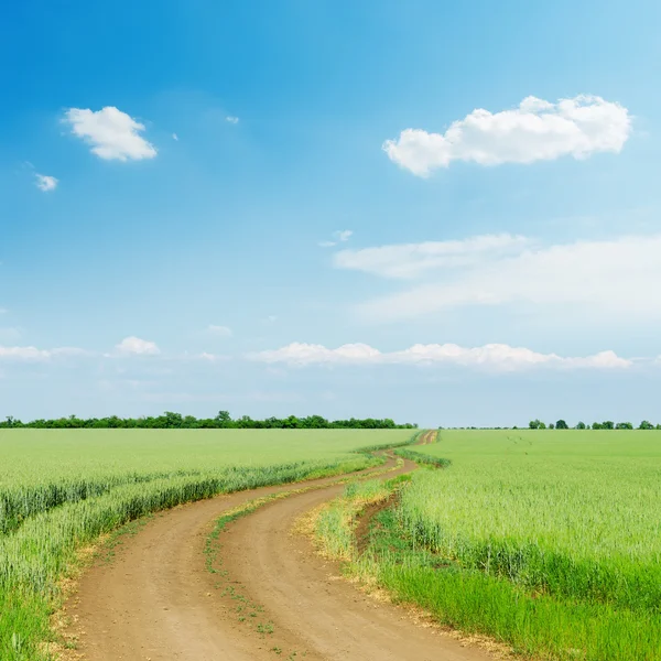 Dirty road i gröna jordbruk fält och blå himmel med moln o — Stockfoto