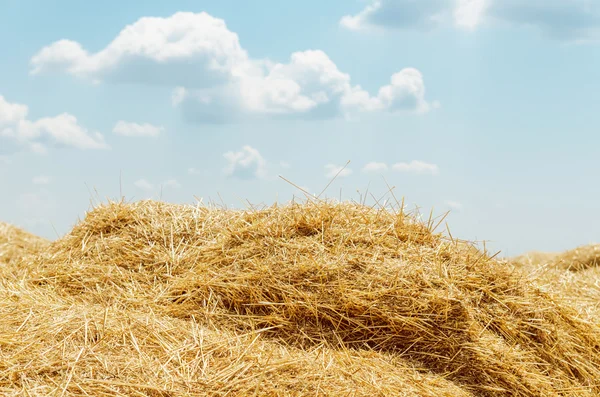 Heap of straw and clouds over it. soft focus — Stock Photo, Image