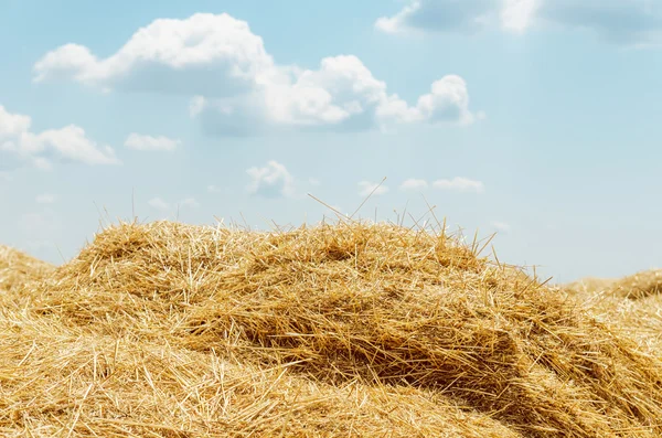 Haufen Stroh und Wolken über ihm. Soft-Fokus — Stockfoto