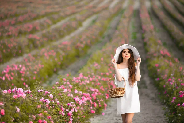 バラ畑の上に白い帽子の美しい若い女性の肖像画 ケアフリー幸せなブルネットともに健康な波状毛楽しい屋外で自然 — ストック写真