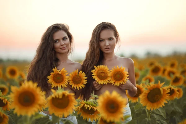 美丽而快乐的两个女孩 有着长长的健康的头发 手牵着向日葵 在夏日盛开的向日葵地 夕阳西下 享受着大自然 太阳耀斑 漂亮的黑发女人肖像 — 图库照片