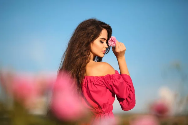 Bella Giovane Donna Con Fiore Sopra Cielo Blu Bruna Felice Foto Stock Royalty Free