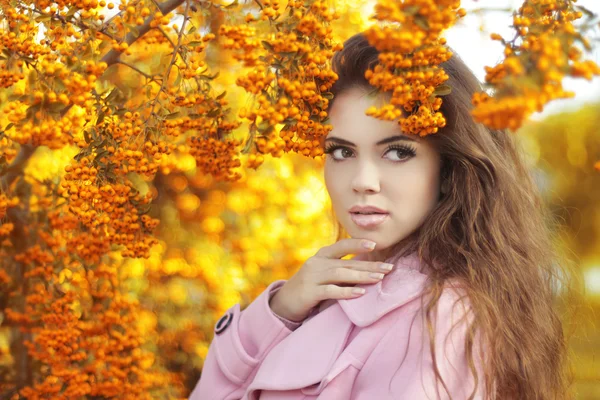 ファッション流行美少女の秋肖像画。ブルネットの女性の上 — ストック写真