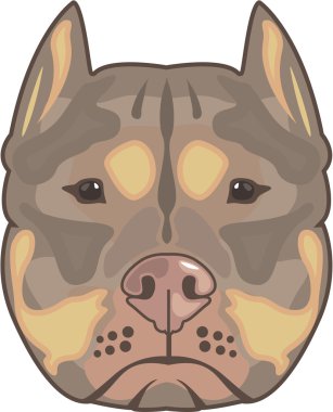 Pitbull vektör eps