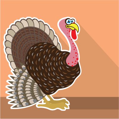 Türkiye'de vektör sanat