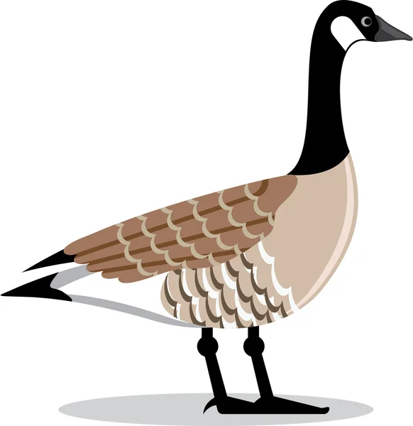Brown Goose vector gestileerd — Stockvector