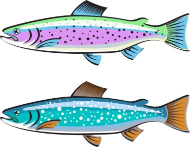 Gökkuşağı ve göl alabalığı