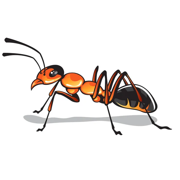 Ant vector fuego hormiga insecto ilustración clip-art — Archivo Imágenes Vectoriales