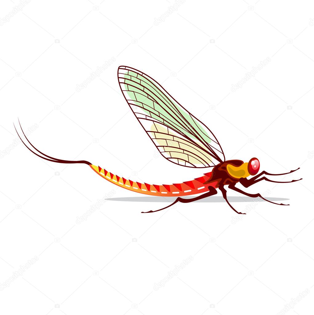 Mayfly vector agua insecto ilustración pescado comida Vector de Stock