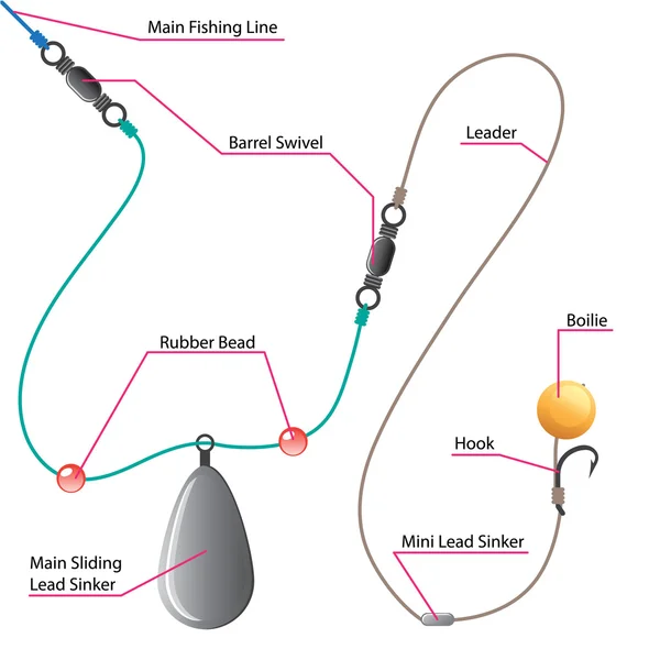 Boilie setup diagram för karp fiske — Stock vektor